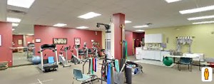 Plymouth Physical Therapy - Novi